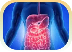 Icon for Digestive Health