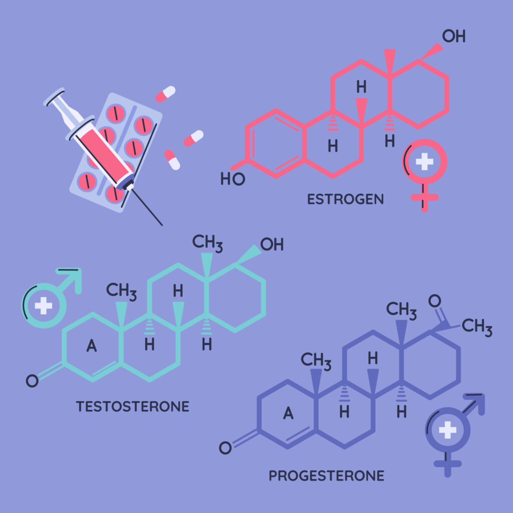 testosterone hormone diagram